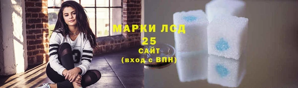 прущие грибы Баксан
