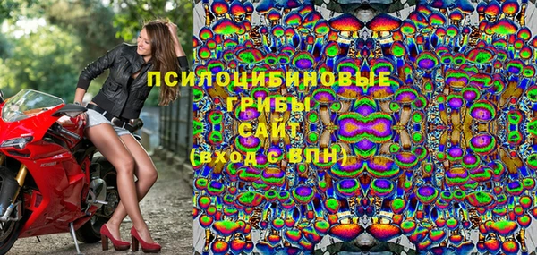 прущие грибы Баксан