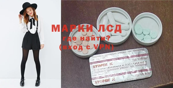 прущие грибы Баксан