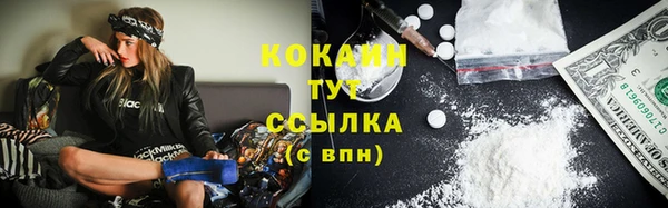 прущие грибы Баксан